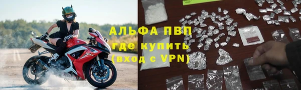 PSILOCYBIN Гусь-Хрустальный