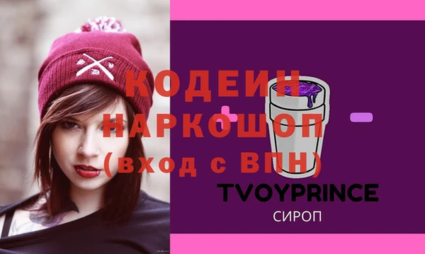 PSILOCYBIN Гусь-Хрустальный