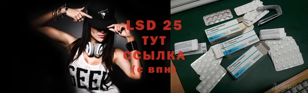 spice Гусев
