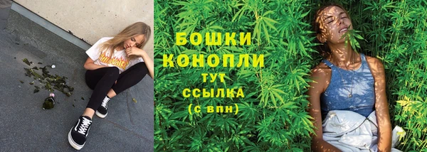 PSILOCYBIN Гусь-Хрустальный