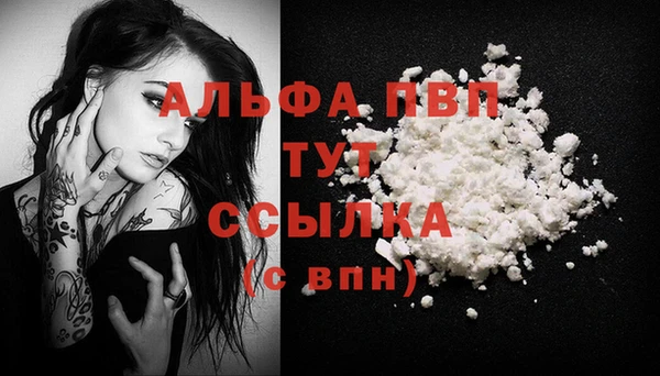spice Гусев