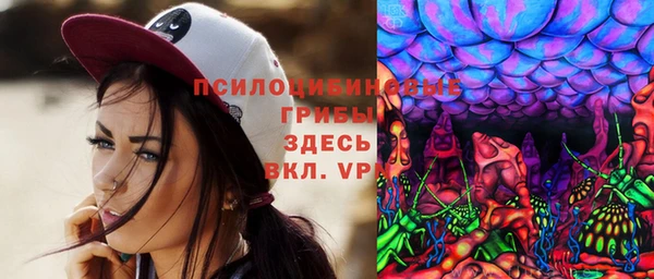 PSILOCYBIN Гусь-Хрустальный