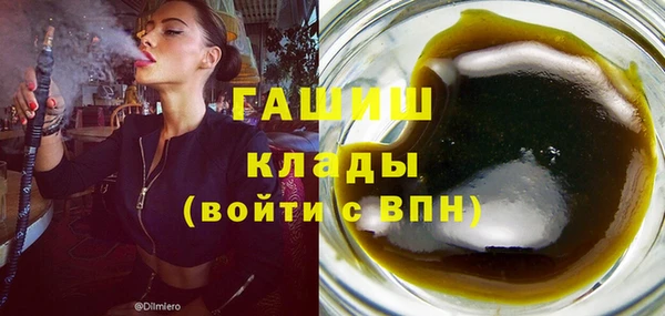 spice Гусев
