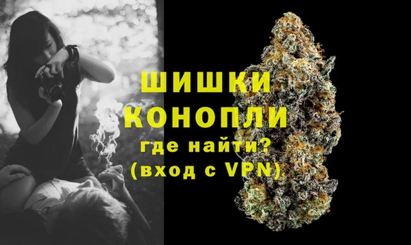 PSILOCYBIN Гусь-Хрустальный
