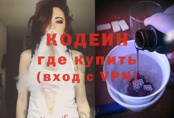 PSILOCYBIN Гусь-Хрустальный